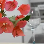 Mimoza Apartments